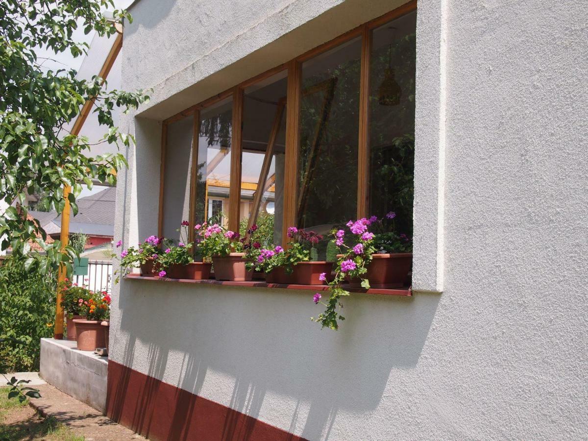 Deel Apartman Ньиредьхаза Экстерьер фото